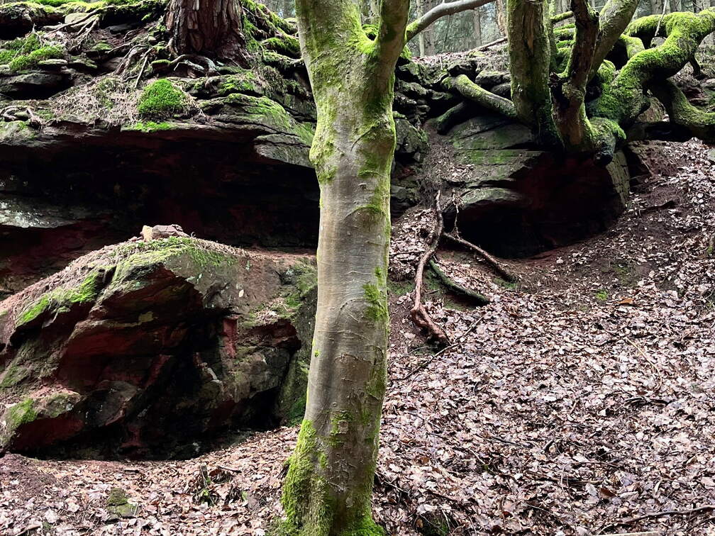 24-02-27 12-13-50 8742